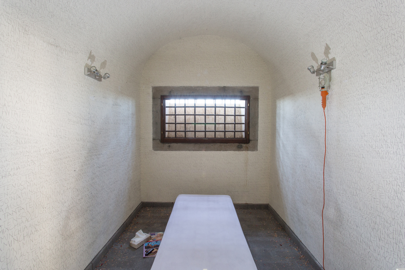 tengo-na-minchia-tanta_mauro-cuppone_contemporary-art_jail_frank-zappa_mental-hospital_limitation-of-freedom_pencil_wall_2016-1